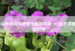 抖音跳转到微信小程序电商 2024技术攻略!超好用