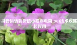 抖音跳转到微信小程序电商 2024技术攻略!超好用