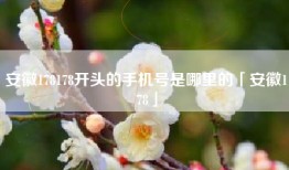 安徽178178开头的手机号是哪里的「安徽178」