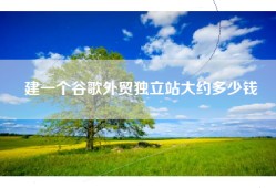 建一个谷歌外贸独立站大约多少钱