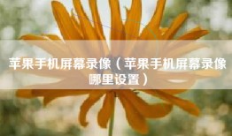 苹果手机屏幕录像（苹果手机屏幕录像哪里设置）