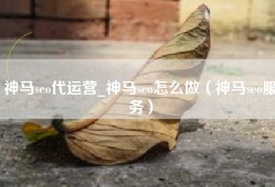神马seo代运营_神马seo怎么做（神马seo服务）