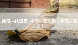 神马seo代运营_神马seo怎么做（神马seo服务）