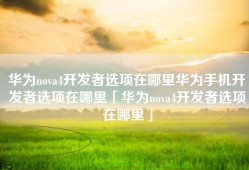 华为nova4开发者选项在哪里华为手机开发者选项在哪里「华为nova4开发者选项在哪里」