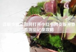 详解步骤，如何打开小红书网页版并查看浏览记录攻略