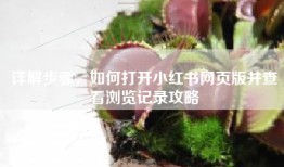 详解步骤，如何打开小红书网页版并查看浏览记录攻略