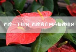 百度一下排名_百度官方回应快速排名