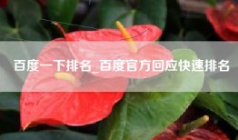 百度一下排名_百度官方回应快速排名