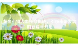 黄屋屯镇人事任命揭晓，引领未来发展的新篇章开启