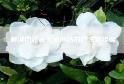 聊城市建设外贸网站的方法和步骤