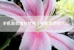 手机裁剪图片软件（手机裁剪图片app）