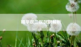 精华区二区区别解析