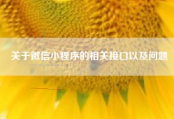 关于微信小程序的相关接口以及问题