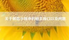 关于微信小程序的相关接口以及问题