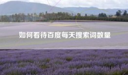 如何看待百度每天搜索词数量