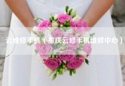 云维修手机（重庆云修手机维修中心）
