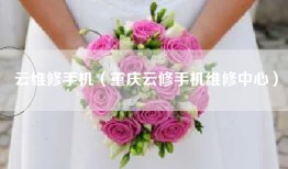 云维修手机（重庆云修手机维修中心）