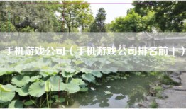 手机游戏公司（手机游戏公司排名前十）
