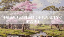 手机充电几小时最好（手机充电几个小时合适）