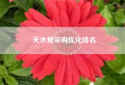 天水爱采购优化排名