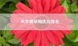 天水爱采购优化排名