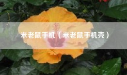 米老鼠手机（米老鼠手机壳）