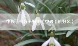 中兴手机好不好用（中兴手机好么）