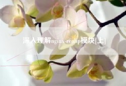 深入理解nginx realip模块[上]