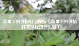 苹果手机微信打字换行（苹果手机微信打字换行按什么键）