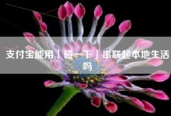 支付宝能用「碰一下」串联起本地生活吗
