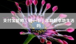 支付宝能用「碰一下」串联起本地生活吗