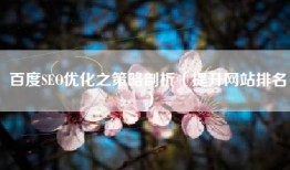 百度SEO优化之策略剖析（提升网站排名）
