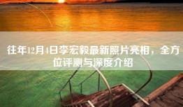往年12月4日李宏毅最新照片亮相，全方位评测与深度介绍