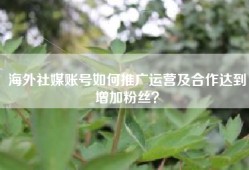 海外社媒账号如何推广运营及合作达到增加粉丝？