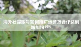 海外社媒账号如何推广运营及合作达到增加粉丝？