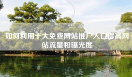 如何利用十大免费网站推广入口提高网站流量和曝光度