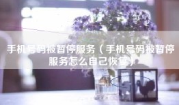 手机号码被暂停服务（手机号码被暂停服务怎么自己恢复）