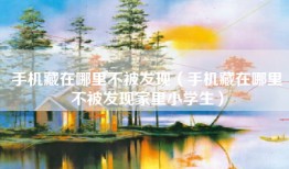 手机藏在哪里不被发现（手机藏在哪里不被发现家里小学生）