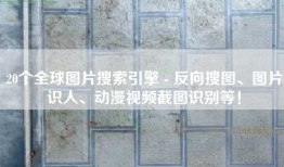 20个全球图片搜索引擎 - 反向搜图、图片识人、动漫视频截图识别等！