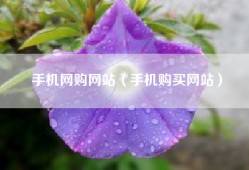 手机网购网站（手机购买网站）