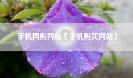 手机网购网站（手机购买网站）