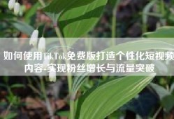 如何使用TikTok免费版打造个性化短视频内容-实现粉丝增长与流量突破