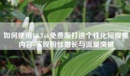 如何使用TikTok免费版打造个性化短视频内容-实现粉丝增长与流量突破