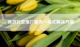 高效托管推广服务一站式解决方案