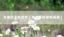 全黑色手机壁纸（黑色手机壁纸高清）
