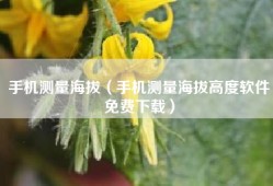 手机测量海拔（手机测量海拔高度软件免费下载）
