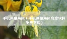手机测量海拔（手机测量海拔高度软件免费下载）
