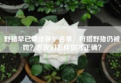 野猪早已调出保护名单，狩猎野猪仍被罚？农民们怎样做才正确？