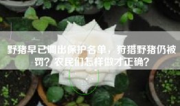 野猪早已调出保护名单，狩猎野猪仍被罚？农民们怎样做才正确？