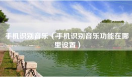 手机识别音乐（手机识别音乐功能在哪里设置）